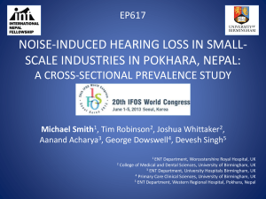 noise-induced hearing loss in small-scale industries