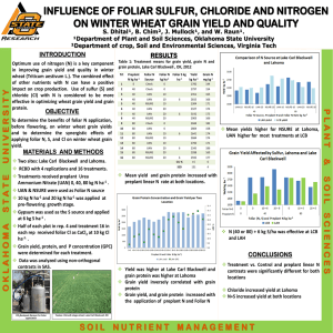 Influence of Foliar Sulfur, Chloride, and Nitrogen on Winter Wheat