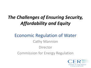 Cathy Mannion Water Slides -SEAI October 2012
