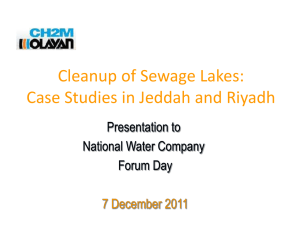 Clean Up of Sewage Lakes