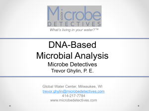 Microbe Detectives Presentation