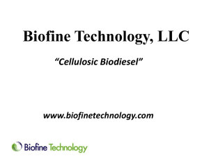 levulinate esters - Biofine Technology