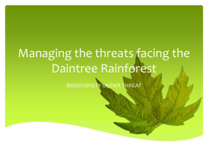 What are the threats to the Daintree? - Rawlins A