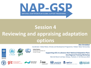 Reviewing and appraising adaptation options - UNDP-ALM