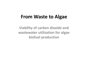 Viability of Waste Utilization for Algae Production
