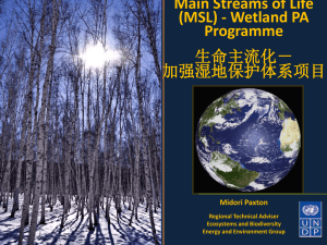 Main Streams of Life (MSL) - Wetland PA Programme 生命主流化