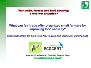 What can fair trade offer organized small farmers for