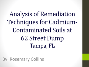 Analysis of Remediation Techniques for Cadmium