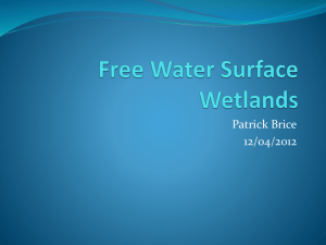 Free water surface wetlands by Patrick Brice