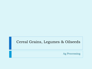 Cereal Grains, Legumes & Oilseeds