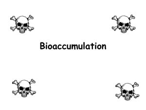Bioaccumualtion Presentation
