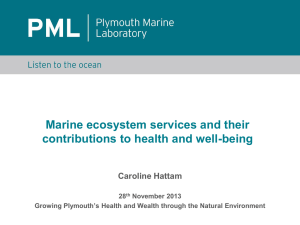 Marine ecosystem services: contributions to well
