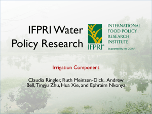 IFPRI SRP Irrigation Presentation