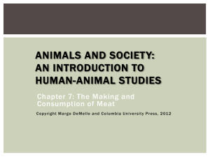Meat - Animals and Society Institute