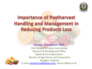Importance of Postharvest Handling and Management in
