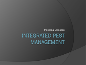 Integrated Pest management in the greenhouse