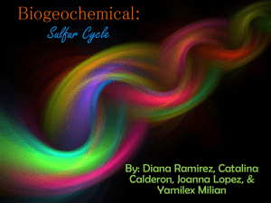 Biogeochemical+sulfur+cycle