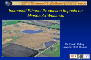Increased Ethanol Production: Impacts on MN Wetlands