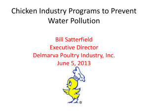 Chicken Industry Programs to Improve Water Quality