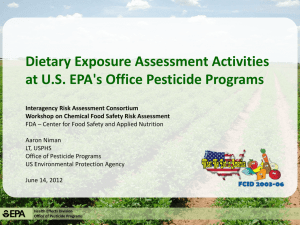 Dietary Exposure Assessment Activities at U.S. EPA`s