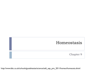 Chapter 9 Homeostasis