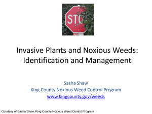Invasive Plants and Noxious Weeds