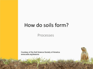 How do soils form?
