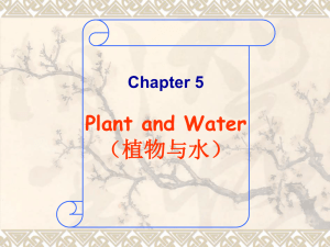 植物与水
