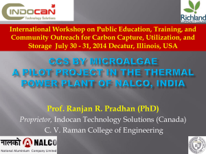 A Pilot Project in the Thermal Power Plant of NALCO, USA (Pradhan).