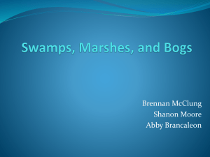 Swamps, Marshes, and Bogs