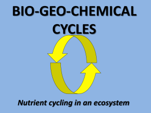 BIO-GEO-CHEMICAL CYCLES