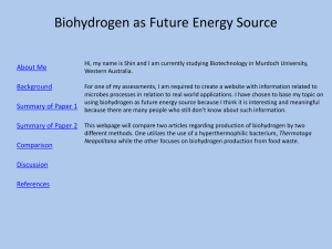 09-31705357 Biohydrogen as Future Energy Source