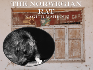 The Norwegian Rat - English II with Mr. Davis