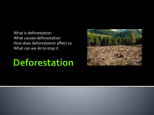 Deforestation - Sharing the Planet