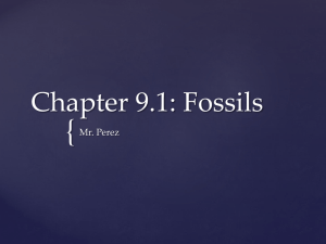 Chapter 9.1: Fossils - Miami Arts Charter School