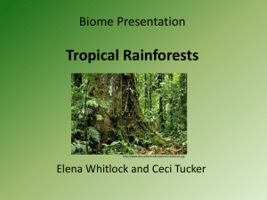 Biome Presentation by Elena Whitlock and Ceci Tucker