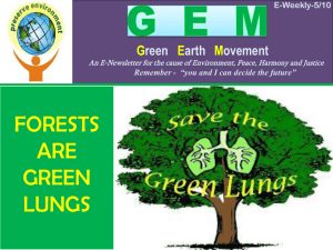 Forests are green lungs - St. Francis Xavier Church , Panvel