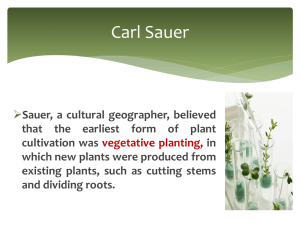 The diffusion of both vegetative planting and seed agriculture from