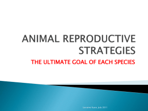 ANIMAL REPRODUCTIVE STRATEGIES