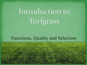 Introduction to Turfgrass