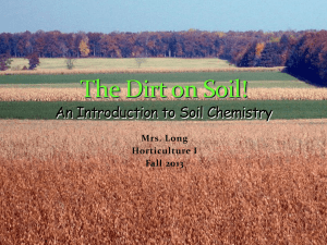 The Dirt on Soil! - MrsLongHorticulture