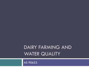 Dairy Farming and Water Quality