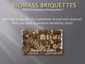 Biomass Briquettes by tiana bateman