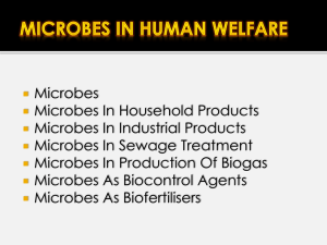 Microbes In Human Welfare