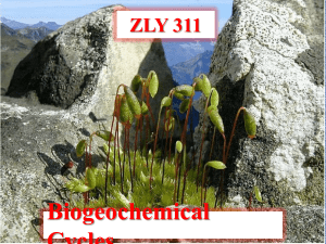 Lecture Slides for Biogeochemical Cycles 311