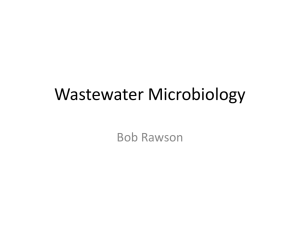 Wastewater Microbiology powerpoint