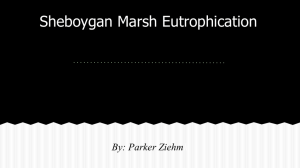 Sheboygan Marsh Eutrophication