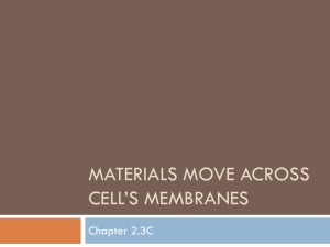 Materials Move Across Cell*s Membranes