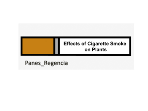 Effects of Cigarette Smoke on Plants