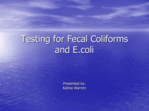 Testing for Fecal Coliforms and E.coli in Wastewater